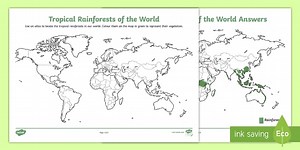 Tropical Rainforests Around the World Worksheet