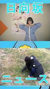 かとしインライにてひなた坂ライブの感想とメンバーとの交流について話す【HINATAZAKA NEWS】