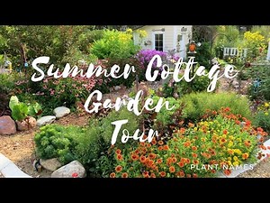 Small Backyard Cottage Style Garden tour | Midsummer garden 2021 |Tranquil & beautiful + plant names
