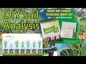 MOET Minus one element technique | DIY analyses