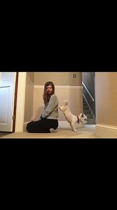 295K views · 10K reactions | I put together a little video of some of...