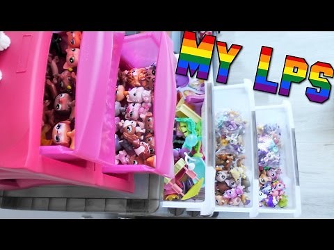 How I Organise My Lps & Accessories || DIY (Kinda)