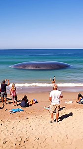 Incredible footage that was recorded on the beach! Check out this UFO! Must see! #UFO #UFOS #uaps #uap #Aliens #alien #OVNI #beach | Ufonomenon