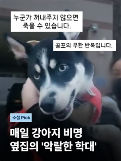 매일같이 이웃에서 강아지 비명이 들린다는 제보에 동물단체가 구조에 나섰습니다. #JTBC뉴스 #아침앤 #비명소리 #강아지 #학대제보 #구조