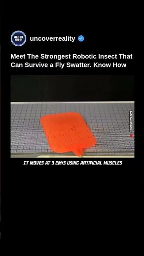 This Strongest Robotic Insect Can Survive A Fly Swatter & Your Leg Too. Know How 😱 #robot #shorts