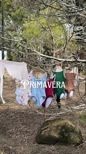 We know how much you all loved our ballet tights pink mesh in our last collection… so we made 6 ballet leotards that incorporate this for cohesion with your ballet tights 🩰 Primavera is a celebration of a new season and transformation. It’s inspired by the fairies in sleeping beauty with designs that are intentional 🌸 Launching this Saturday - Revealed tonight 👀 #balletcore #ballet #ballerina #hack #dancerhack #balletaesthetic #ootd etaesthetic #ootd #balletgirl | Claudia Dean Collections