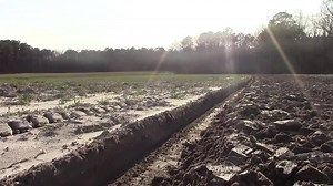 23 reactions | Farmall Super C with a McCormick C-20 plow | International Harvester Collectors Chapter 37 Eastern North Carolina | Facebook