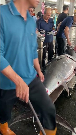 How to Weigh a 600lb Giant Bluefin Tuna – The Right Way! 🐟⚖️ #BluefinTuna #TunaWeighing #BigCatch
