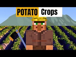 How to Build Automatic Potato Farm in Minecraft