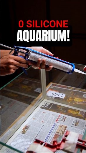 How to make a zero silicone aquarium? #aquarium #fishtank #diy #diyproject #fish #pets #aquaticpets