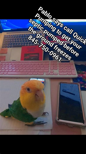 Call Quick Pumping Service LLC to get your septic pumped before the ground freezes 845-750-0961 #septic | Quick Pumping Service LLC