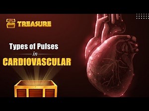 Types of Pulses in Cardiovascular Explained | PrepLadder NEET SS