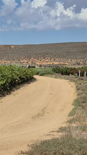 Equine Workouts: Enhance Your Riding Skills