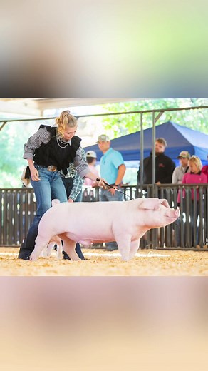Karis 3rd Overall Light AOB at Gold Rush Classic Livestock Show