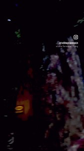 E.T. Adventure at Universal Studios Florida has one of the most ethereal and magical queues, and we love the nostalgia around every turn. This ride opened on June 7, 1990, and is the only opening day attraction at the park that is still operating today! Fun Fact: The Hollywood version closed on March 14, 2003, and was replaced by Revenge of the Mummy: The Ride. You can now only ride the E.T. attraction at the Universal Studios Florida park! Drop a comment below and tell us whether you think this