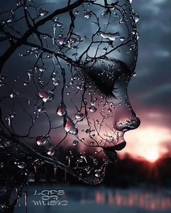 97K views · 4.5K reactions | Foxy Lady - Jimi Hendrix | Laps of music | Facebook