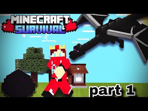 I Dragon Beat and Iron Armor in Minecraft
