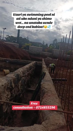 Deep Dive into Stunning Swimming Pool Designs