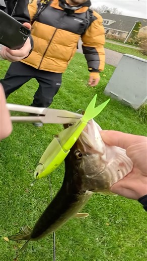 Nays TRN 190 = pike magnet #lure #lurefishing #fishing #snoekvissen