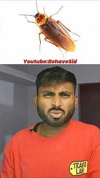 I tried to TRICK Akinator with Oggy & the Cockroaches! 😱#shorts #akinator