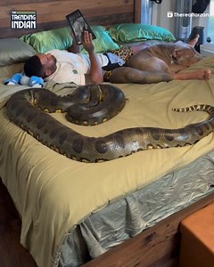 150K views · 146 reactions | The Trending Indian on Reels | Facebook