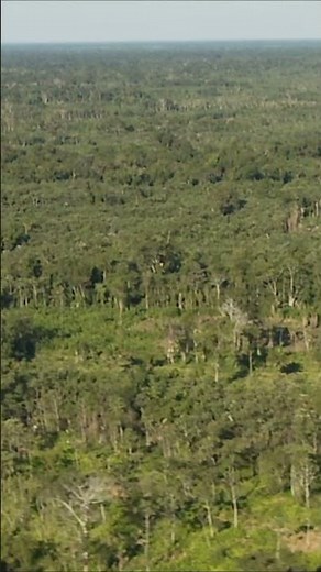 More than 100 Tribes Who Have Never Seen outside their Home in the Amazon Jungle
