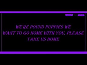 Pound Puppies Theme Song Lyrics (1985)