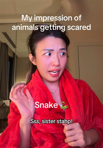 Hilarious Animal Reactions to Getting Jumped