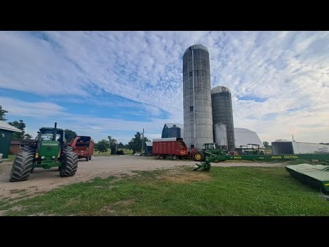 Chopping some nice hay silage 🌾🚜