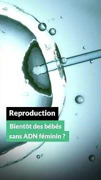 Reproduction : bientôt des bébés sans ADN féminin ? #short #science
