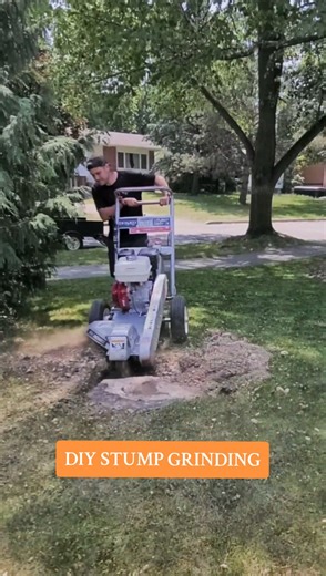 Rent a Stump Grinder from Home Depot - Quick and Affordable Stump Removal