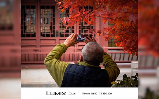 新手松下G95拍摄的三个月