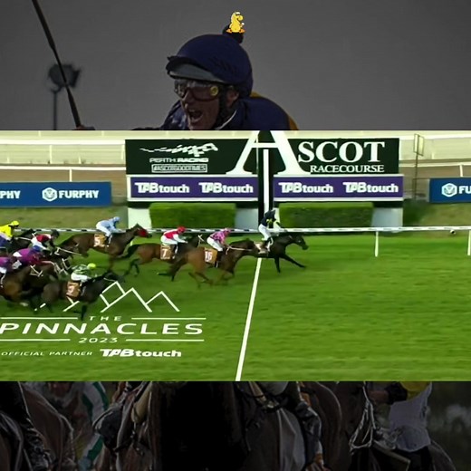 Damian Oliver: Stern Idol Horse Racing Highlights