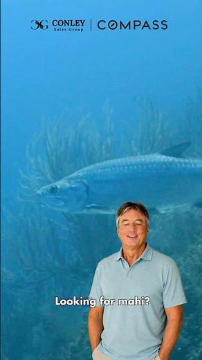 Florida Keys Fishing Guide: Best Spots for Tarpon, Mahi, Snapper & Grouper