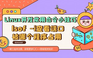 Linux开发常用命令小技巧之lsof -i查看端口被哪个程序占用