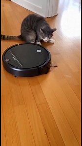 Chat Curieux et Robot Aspirateur! Regardez ce chat curieux affronter un robot aspirateur dans une rencontre amusante! #fblifestyle #AI Generated using Kling AI . . . (À des fins de divertissement uniquement. Consulter des professionnels si des conseils sur les activités sont présentés. Aucune affiliation à une marque n'est implicite si elle est représentée. Si le contenu s'inspire d'événements réels, des adaptations créatives peuvent être incluses. Le contenu peut inclure des images publiques.) 