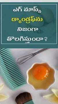 Can eggs remove dandruff naturally! #Telugu #shorts #healthtips