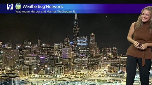 Morgan Kolkmeyer loses it on-air over a lonely little snail. 🐌 | WGN Morning News