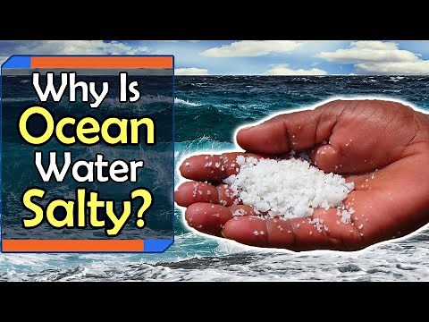 Why Is The Ocean Salty?