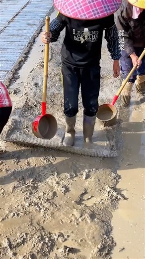 Unique Hand-Tilling And Rice Planting Tradition #satisfying ‪@MNSmartTech‬