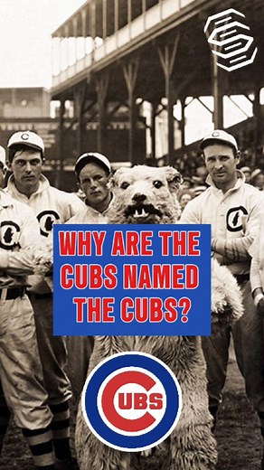 1.5K views · 17 reactions | Secrets Revealed: The History of Chicago Cubs Name! Get the inside scoop on the history of the Chicago Cubs name. From the team's early days as the White Stockings to their current home at Wrigley Field, this video uncovers the secrets behind the iconic Chicago Cubs name and its connection to the city's rich baseball history. Watch now to learn more about the beloved MLB team. #chicagocubs #cubs | Sportsnaut | Facebook