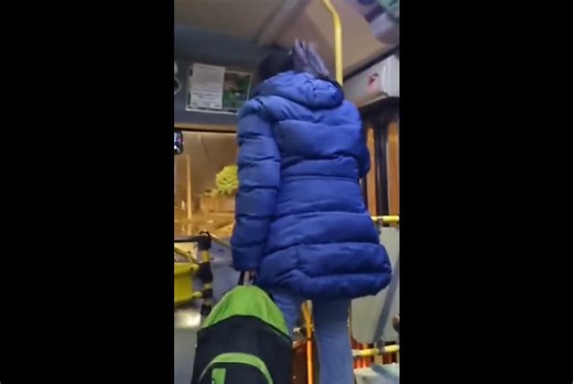 Apedrearon un colectivo de la línea 110 con pasajeros a bordo: video