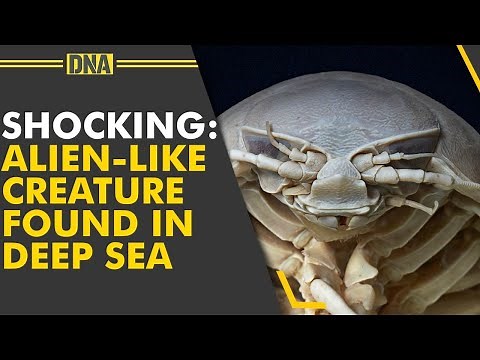 New Alien creature found! Scientists name it 'Darth Vader'