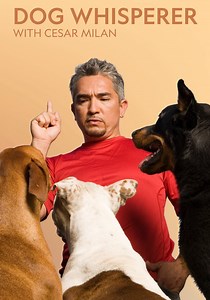 Dog Whisperer - streaming tv show online