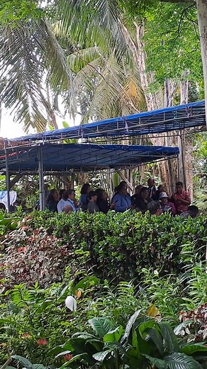 118 reactions · 14 comments | Selamat Jalan Ocha  Tuhan Yesus Menyambut Mu  | Christine Rumkabu | Facebook