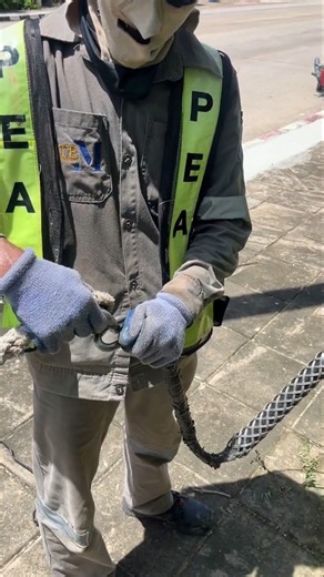 😲 Why Linemen Use Mesh Pulling Grips for Heavy Overhead Cables! ⚡ #Lineman #PullingGrip #UtilityWork