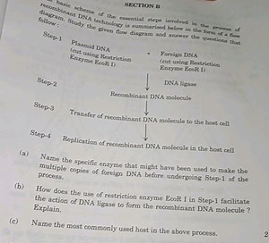 Given flow diagram process questions on recombinant DNA technol... | Filo