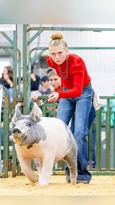 1.2M views · 6.2K reactions | Krew and Kari’s’ first impressions at the Exposition pig show! #showpigs #livestockshow #pigs National Junior Swine Association (NJSA) | Dadson Farms | Facebook