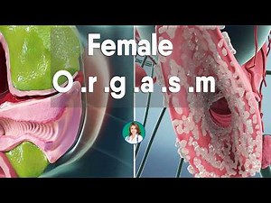 3D Female Reproductive System Animation | Ovulation, Fertilization & Menstrual Cycle Explained