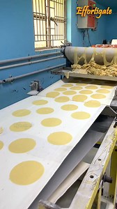 2.7M views · 17K reactions | Papad Manufacturing Process – From Dough to Packaging | Effortigate | Facebook